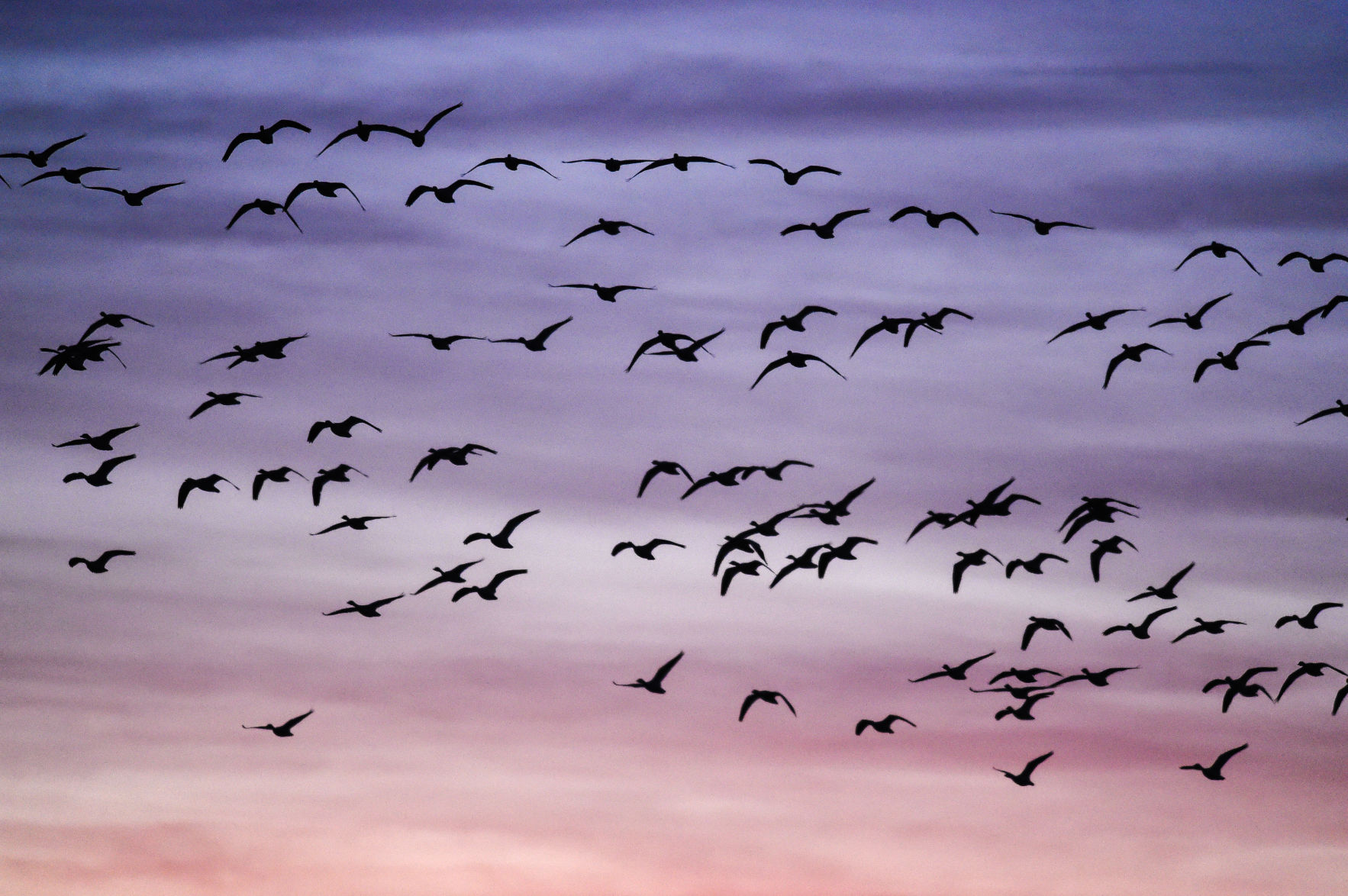 Sunrise silhouettes